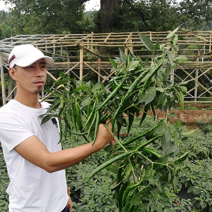 首页- 尊龙集团中国官方网站