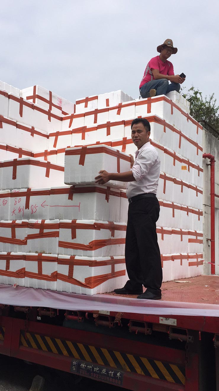 首页- 尊龙集团中国官方网站