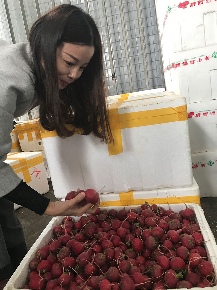 首页- 尊龙集团中国官方网站