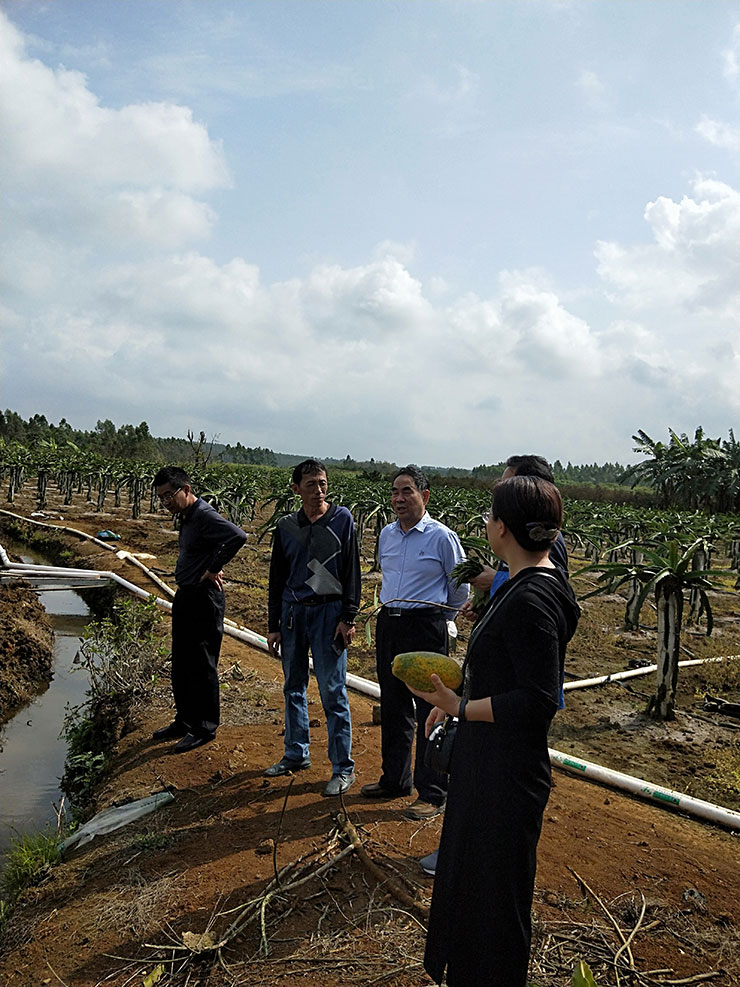 首页- 尊龙集团中国官方网站