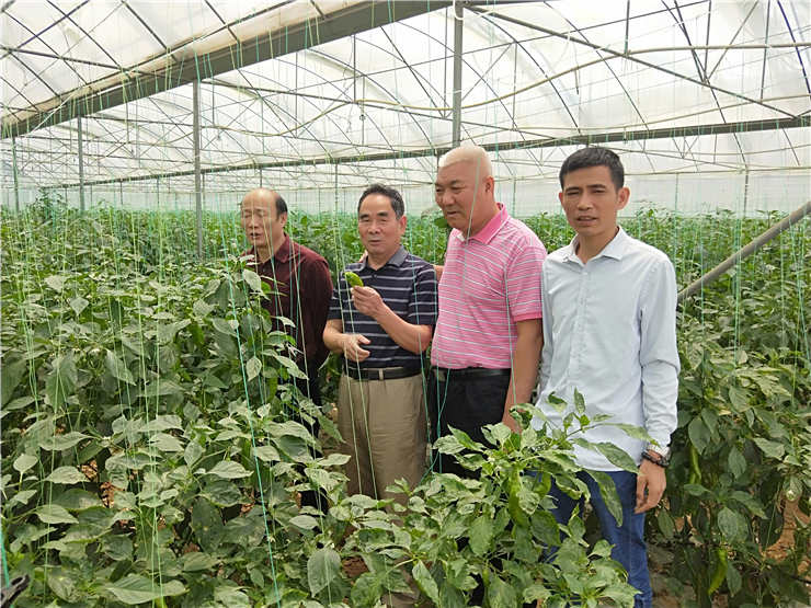 首页- 尊龙集团中国官方网站