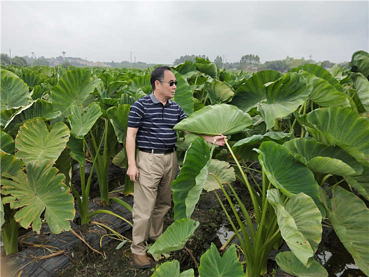 首页- 尊龙集团中国官方网站