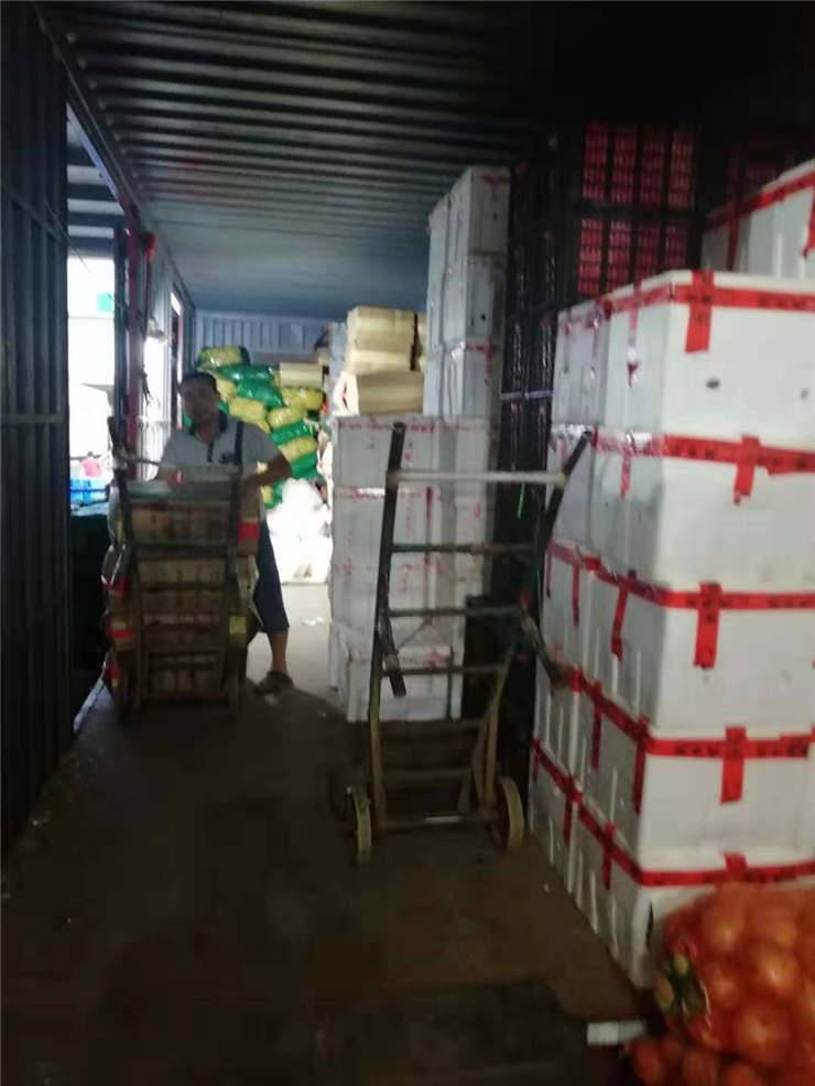 首页- 尊龙集团中国官方网站