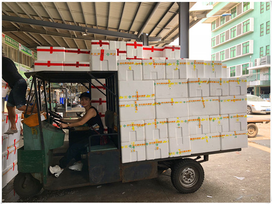 首页- 尊龙集团中国官方网站