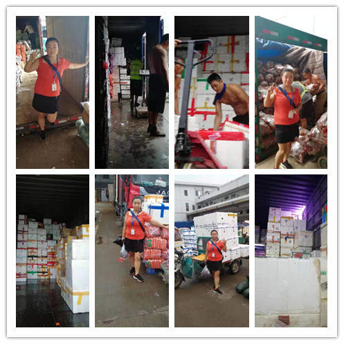 首页- 尊龙集团中国官方网站