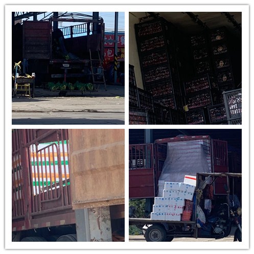 首页- 尊龙集团中国官方网站